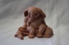 Elephant sitting on a donkey, part of Winthrop Rockefeller's collection of elephants (wr-194)
