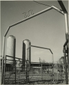 Winrock Farms: Cattle corrals (ualr-ms-0001_07_05_31pho0014)